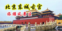 小穴拳交中国北京-东城古宫旅游风景区
